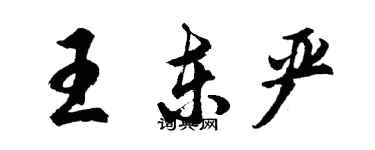 胡问遂王东严行书个性签名怎么写
