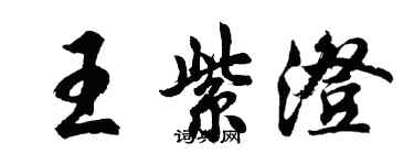 胡问遂王紫澄行书个性签名怎么写