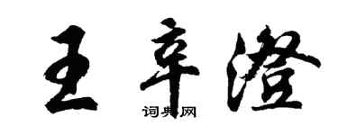胡问遂王辛澄行书个性签名怎么写