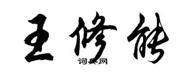 胡问遂王修能行书个性签名怎么写