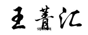 胡问遂王菁汇行书个性签名怎么写