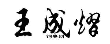 胡问遂王成熠行书个性签名怎么写