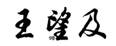 胡问遂王望及行书个性签名怎么写