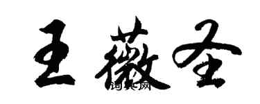 胡问遂王薇圣行书个性签名怎么写