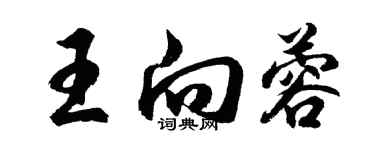 胡问遂王向蓉行书个性签名怎么写