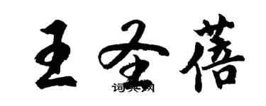 胡问遂王圣蓓行书个性签名怎么写
