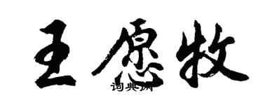 胡问遂王愿牧行书个性签名怎么写