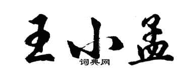 胡问遂王小孟行书个性签名怎么写
