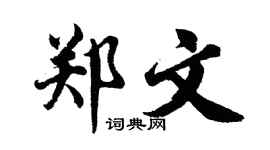 胡问遂郑文行书个性签名怎么写