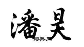 胡问遂潘昊行书个性签名怎么写