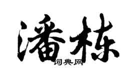 胡问遂潘栋行书个性签名怎么写