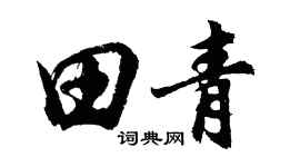 胡问遂田青行书个性签名怎么写