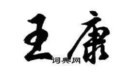 胡问遂王康行书个性签名怎么写