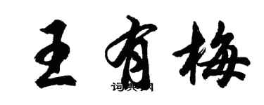胡问遂王有梅行书个性签名怎么写