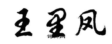 胡问遂王里凤行书个性签名怎么写