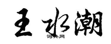 胡问遂王水潮行书个性签名怎么写