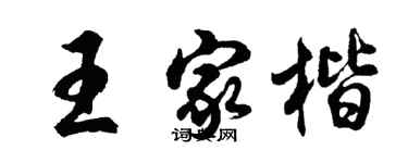 胡问遂王家楷行书个性签名怎么写