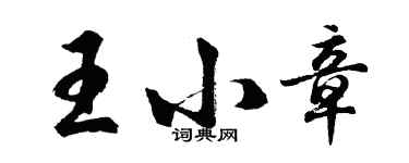胡问遂王小章行书个性签名怎么写