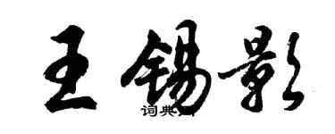 胡问遂王锡影行书个性签名怎么写