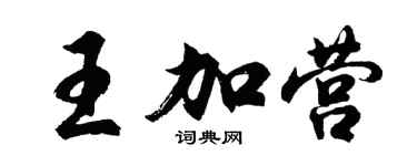 胡问遂王加营行书个性签名怎么写