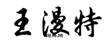 胡问遂王漫特行书个性签名怎么写