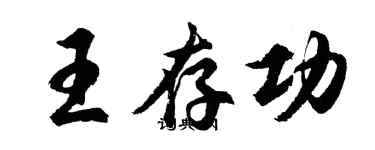 胡问遂王存功行书个性签名怎么写