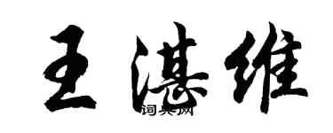 胡问遂王湛维行书个性签名怎么写