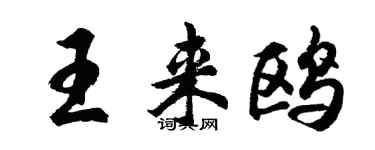 胡问遂王来鸥行书个性签名怎么写