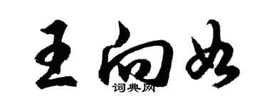 胡问遂王向如行书个性签名怎么写