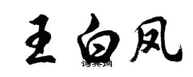 胡问遂王白凤行书个性签名怎么写