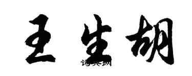胡问遂王生胡行书个性签名怎么写