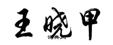 胡问遂王晓甲行书个性签名怎么写