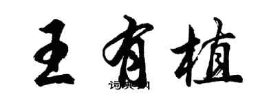 胡问遂王有植行书个性签名怎么写