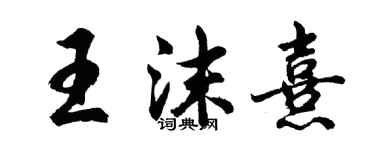 胡问遂王沫熹行书个性签名怎么写