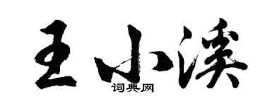 胡问遂王小溪行书个性签名怎么写