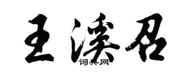 胡问遂王溪召行书个性签名怎么写