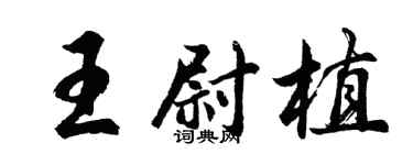 胡问遂王尉植行书个性签名怎么写