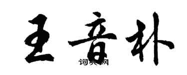 胡问遂王音朴行书个性签名怎么写