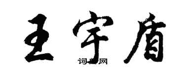 胡问遂王宇盾行书个性签名怎么写