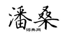丁谦潘桑楷书个性签名怎么写
