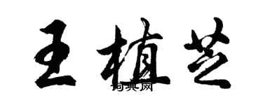 胡问遂王植芝行书个性签名怎么写