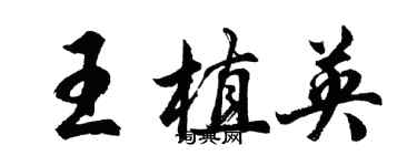 胡问遂王植英行书个性签名怎么写