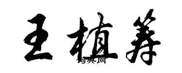 胡问遂王植筹行书个性签名怎么写