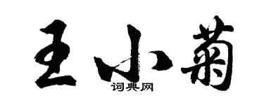 胡问遂王小菊行书个性签名怎么写