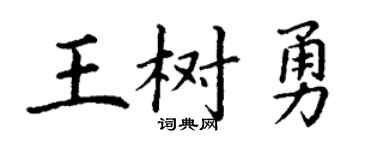 丁谦王树勇楷书个性签名怎么写