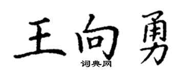 丁谦王向勇楷书个性签名怎么写