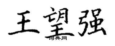 丁谦王望强楷书个性签名怎么写