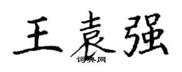 丁谦王袁强楷书个性签名怎么写