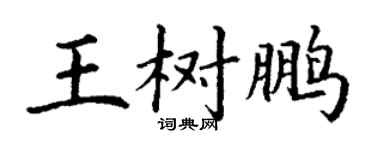 丁谦王树鹏楷书个性签名怎么写