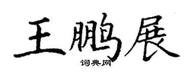 丁谦王鹏展楷书个性签名怎么写